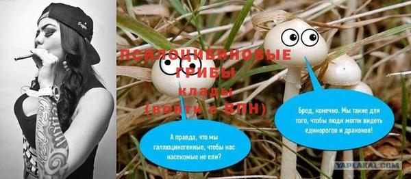 бошки Абаза